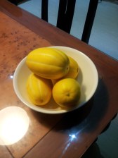 mini-melons