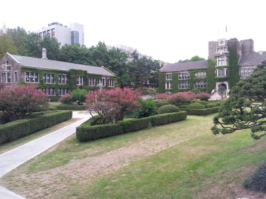 The Yonsei Quad--A stunning oasis in a city of 13 million people.