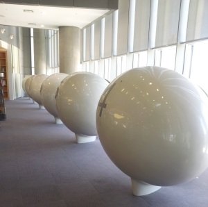 Can you guess what's in these giant eggs / pods?